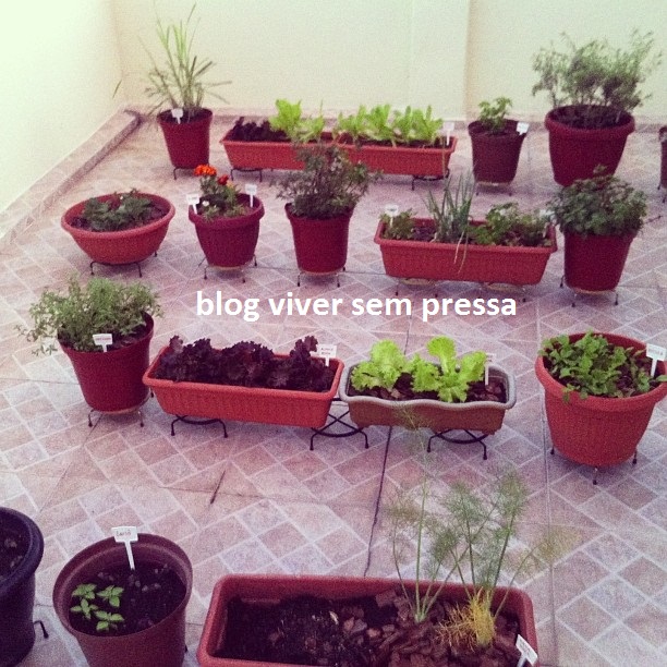 horta 1 - blog