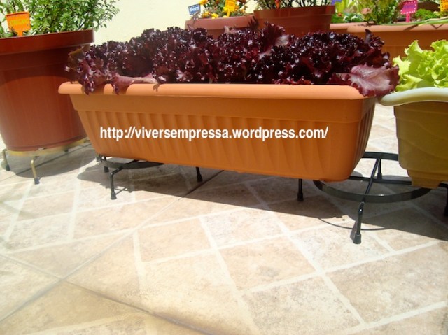 Suporte para os vasos das plantas