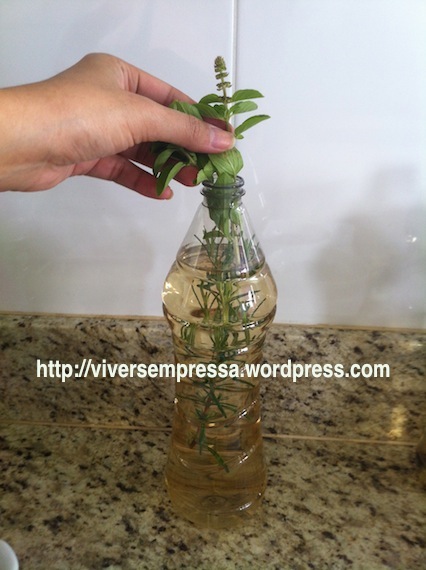 ... um ramo de manjericão (com flor e tudo)...