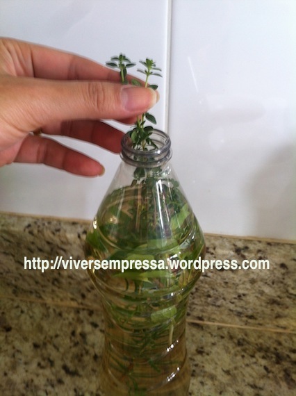 ... 2 raminhos de tomilho...