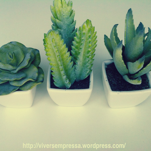 cactos artificiais 1