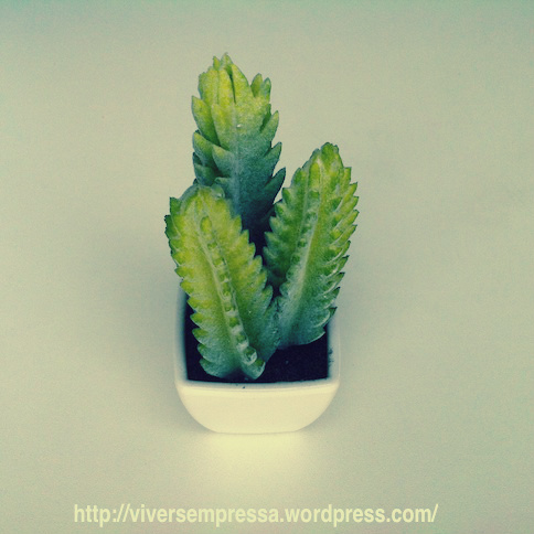 cactos artificiais 3