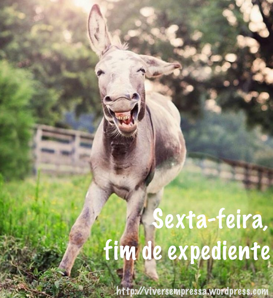 pequenos prazeres sexta feira