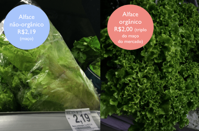 mito_organico_alface