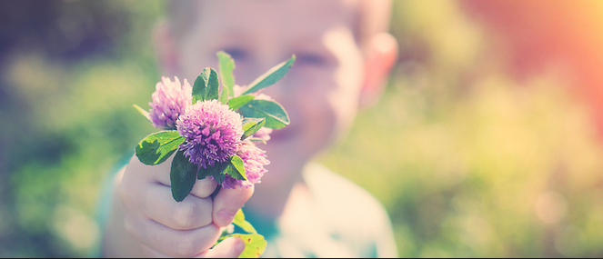 Captura de Tela 2016-08-10 às 12.31.18