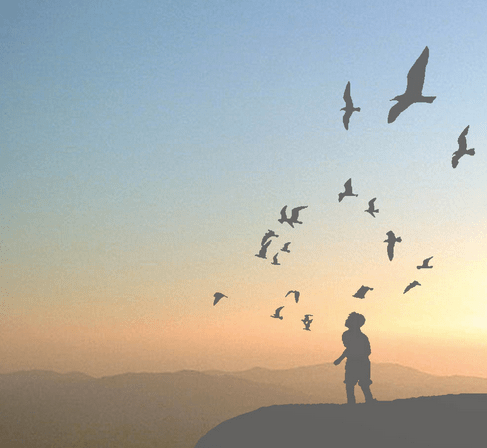 captura-de-tela-2016-12-07-as-12-37-21